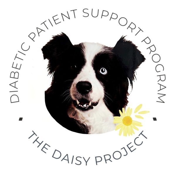 The Daisy Project supporting diabetic pets, Bellarine Veterinary Practice Geelong