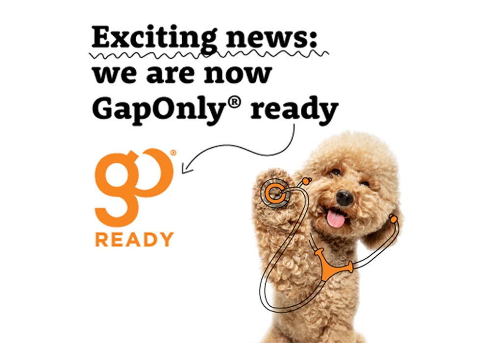 Gaponly-ready-1000x700-v2