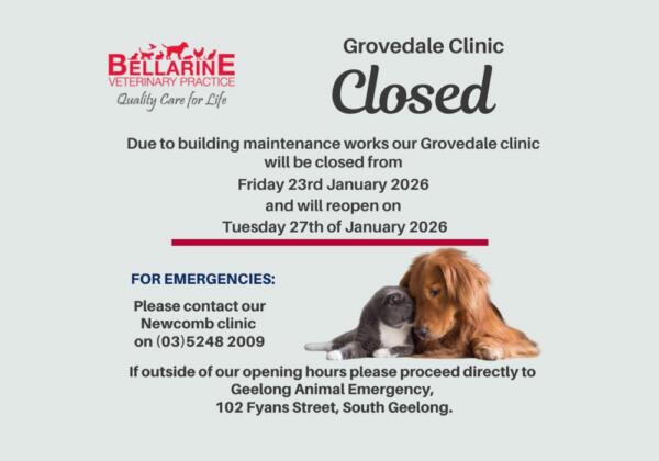Grovedale-clinic-closed-1000x700-r
