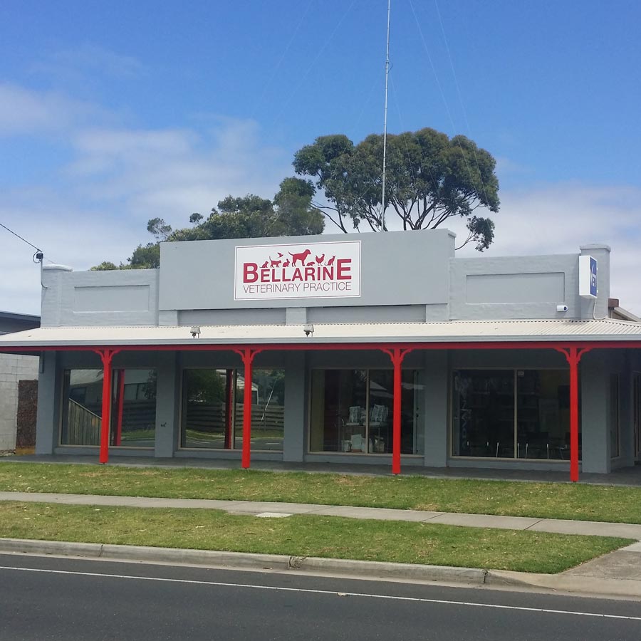 Bellarine Veterinary Practice, Barwon Heads