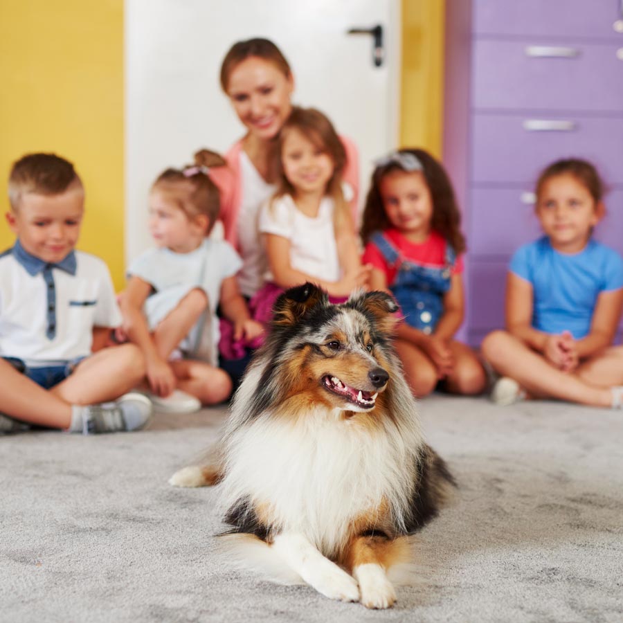 Dog at school