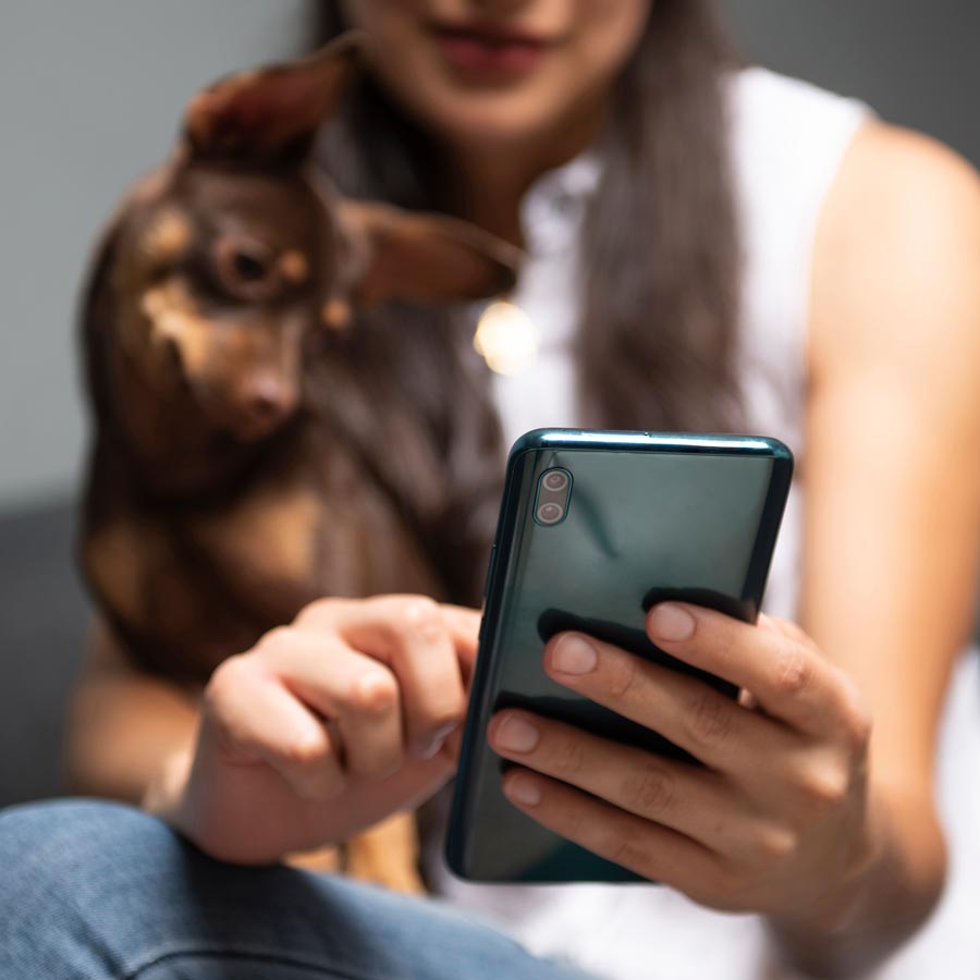 Person on phone with dog