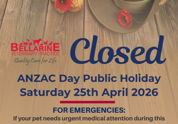Anzac Day Ph