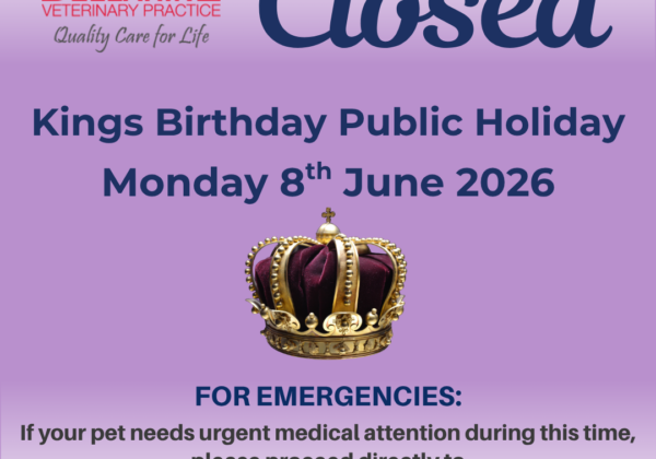 King Birthday 2026 Ph