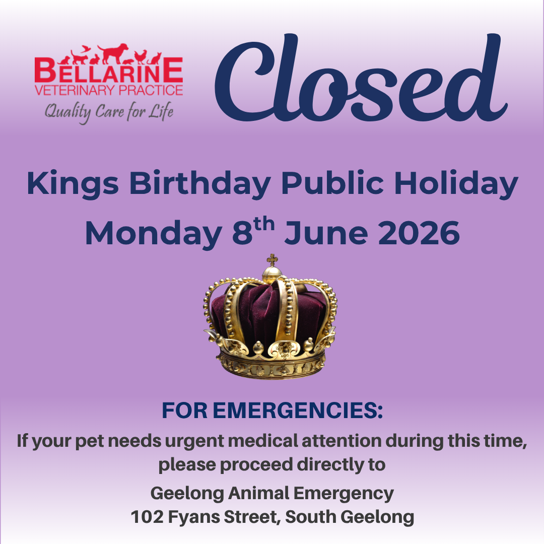 King Birthday 2026 Ph