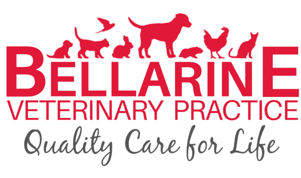 Bellarine Veterinary Practice