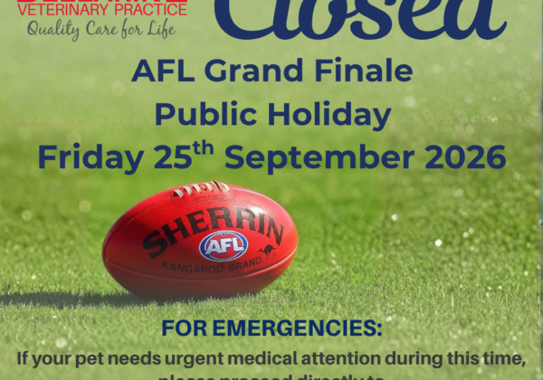 Ph - Afl Grand Finale