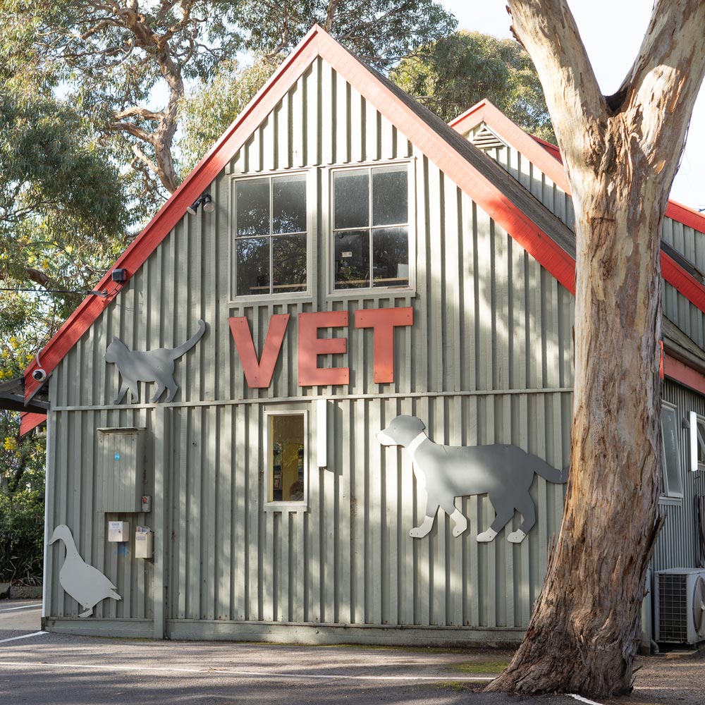 Bellarine Veterinary Practice
