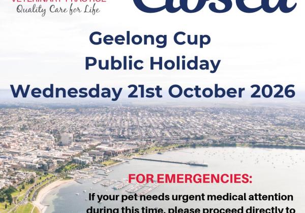 Geelong Cup Public Holiday 2026