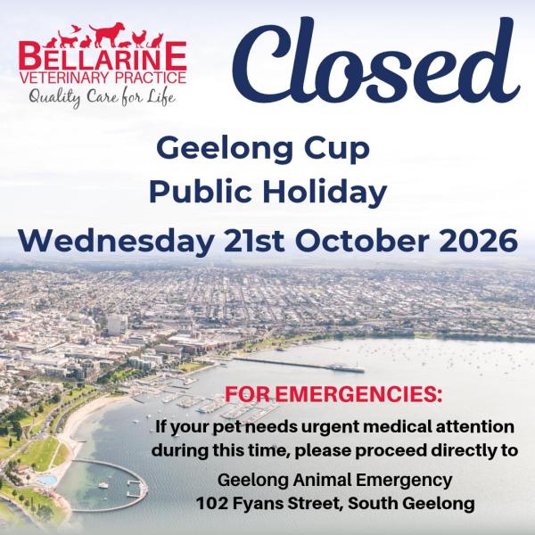 Geelong Cup Public Holiday 2026